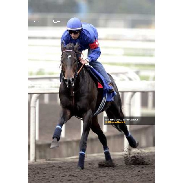 Endo Botti on Ramonti flying to the line during morning works at Sha Tin racecourse Hong Kong, 7th dec. 2006 ph. Stefano Grasso