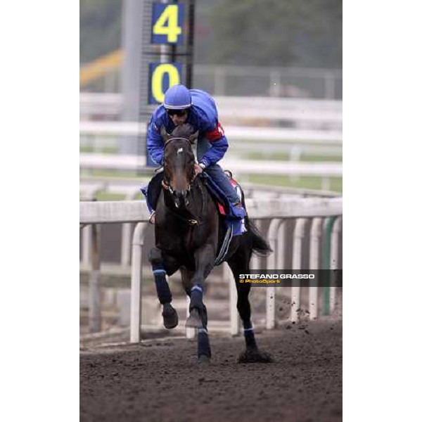 Endo Botti on Ramonti flying to the line during morning works at Sha Tin racecourse Hong Kong, 7th dec. 2006 ph. Stefano Grasso