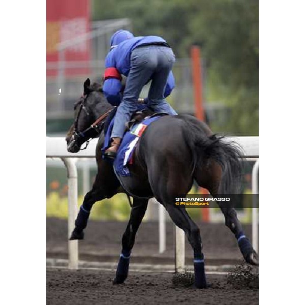 Endo Botti on Ramonti flying to the line during morning works at Sha Tin racecourse Hong Kong, 7th dec. 2006 ph. Stefano Grasso