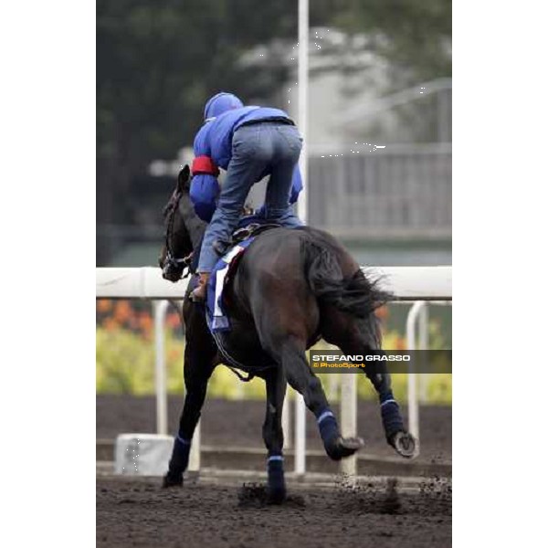 Endo Botti on Ramonti flying to the line during morning works at Sha Tin racecourse Hong Kong, 7th dec. 2006 ph. Stefano Grasso