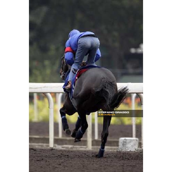 Endo Botti on Ramonti flying to the line during morning works at Sha Tin racecourse Hong Kong, 7th dec. 2006 ph. Stefano Grasso