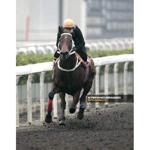 Silent Witness and Felix Coetzee during the morning track works at Sha Tin racecourse Hong Kong, 7th dec. 2006 ph. Stefano Grasso