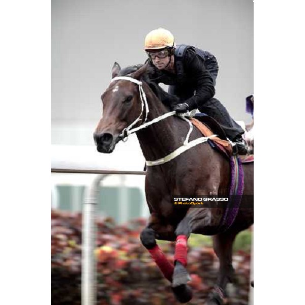 close up for Silent Witness and Felix Coetzee during the morning track works at Sha Tin racecourse Hong Kong, 7th dec. 2006 ph. Stefano Grasso