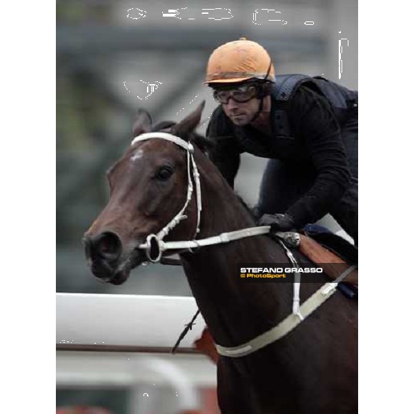 close up for Silent Witness and Felix Coetzee during the morning track works at Sha Tin racecourse Hong Kong, 7th dec. 2006 ph. Stefano Grasso