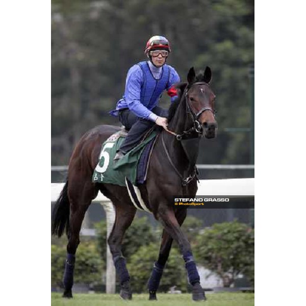 Frankie Dettori on Ouija Board preparing for the morning track works at Sha Tin racecourse Hong Kong, 7th dec. 2006 ph. Stefano Grasso