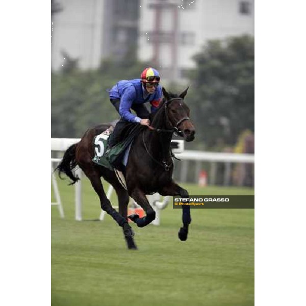 Frankie Dettori on Ouija Board during the morning track works at Sha Tin racecourse Hong Kong, 7th dec. 2006 ph. Stefano Grasso