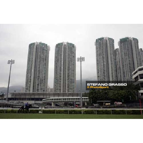 Frankie Dettori on Ouija Board walking at Sha Tin racecourse before morning track works Hong Kong, 7th dec. 2006 ph. Stefano Grasso