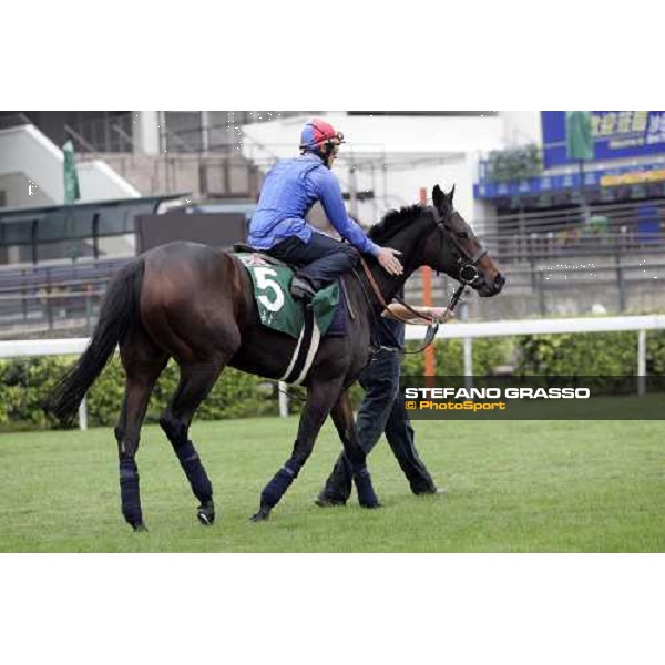 Frankie Dettori on Ouija Board preparing for morning track works at Sha Tin racecourse Hong Kong, 7th dec. 2006 ph. Stefano Grasso