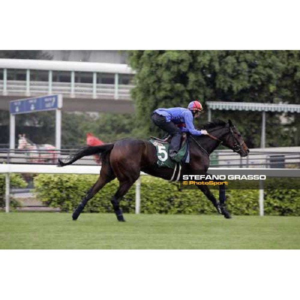 Frankie Dettori on Ouija Board during morning track works at Sha Tin racecourse Hong Kong, 7th dec. 2006 ph. Stefano Grasso