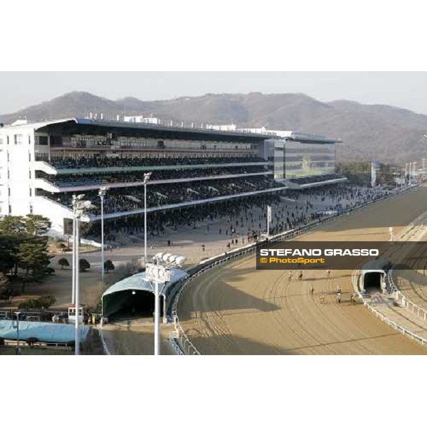 racing at Seoul Seoul, 16th dec. 2006 ph. Stefano Grasso
