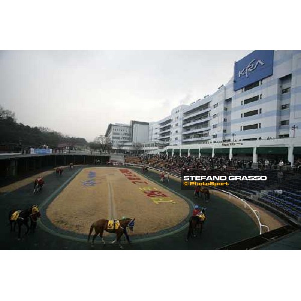 the parade ring at Seoul race park Seoul, 16th dec. 2006 ph. Stefano Grasso