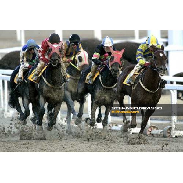racing at Seoul Seoul, 16th dec. 2006 ph. Stefano Grasso