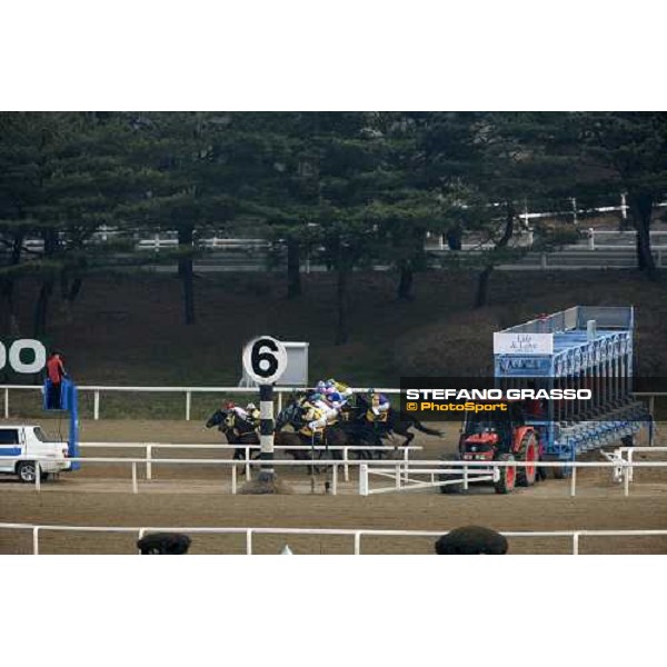 racing at Seoul race park Seoul, 16th dec. 2006 ph. Stefano Grasso