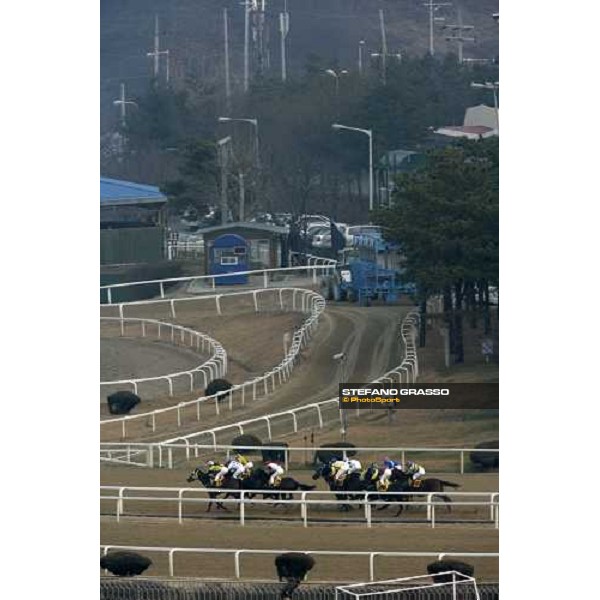 racing at Seoul race park Seoul, 16th dec. 2006 ph. Stefano Grasso