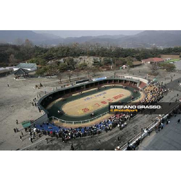 the parade ring at Seoul race park Seoul, 16th dec. 2006 ph. Stefano Grasso
