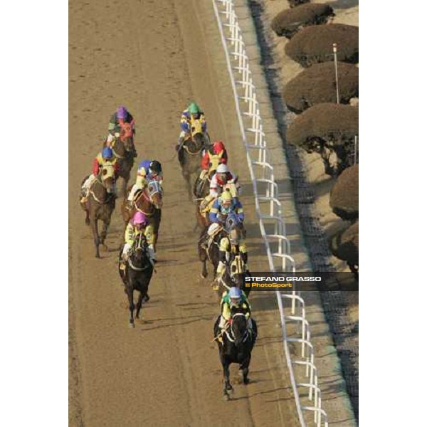 racing at Seoul race park Seoul, 16th dec. 2006 ph. Stefano Grasso