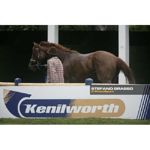 a horse with his groom comes back to the stable at Kenilworth racecourse Cape Town, 6th january 2007 ph. Stefano Grasso