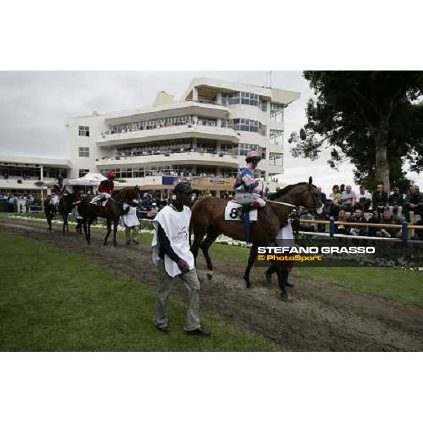 the horses of the Bloodstock South Africa Cape Guineas exit the parade ring before the race Kenilworth racecourse Cape Town, 6th january 2007 ph. Stefano Grasso