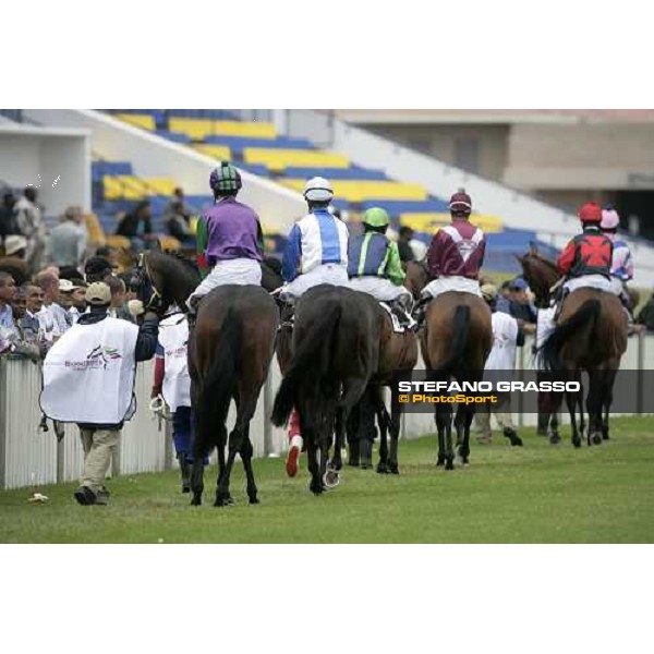 the horses of the Bloodstock South Africa Cape Guineas parading in front of the grandstands before the start Kenilworth racecourse Cape Town, 6th january 2007 ph. Stefano Grasso