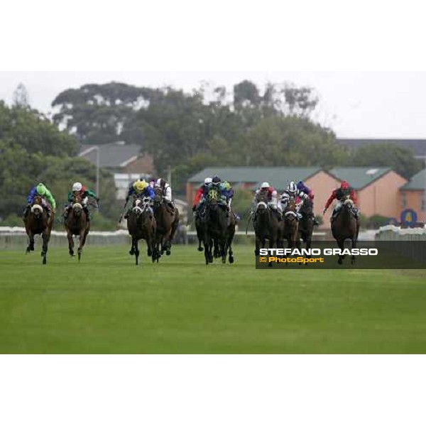 the straight of the Highlands Stud handicap at Kenilworth racecourse Cape Town, 6th january 2007 ph. Stefano Grasso