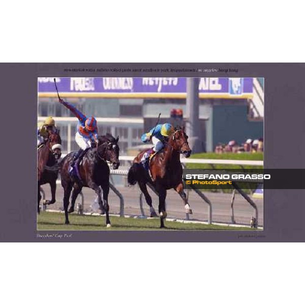 Los Angeles - Breeders\' Cup Turf 2003 ph. Stefano Grasso