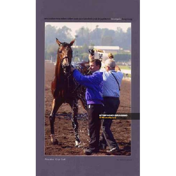 Los Angeles - Breeders\' Cup Turf 2003 ph. Stefano Grasso