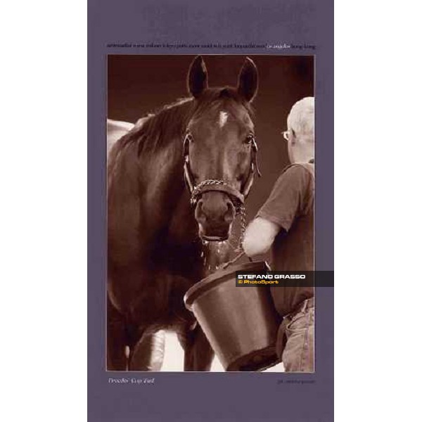 Los Angeles - Breeders\' Cup Turf 2003 ph. Stefano Grasso