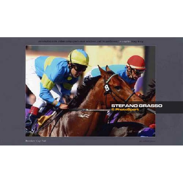 Los Angeles - Breeders\' Cup Turf 2003 ph. Stefano Grasso