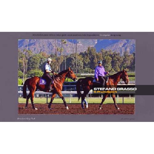 Los Angeles - Breeders\' Cup Turf 2003 ph. Stefano Grasso