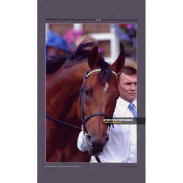 York - Juddmonte International Stakes 2003 ph.Stefano Grasso