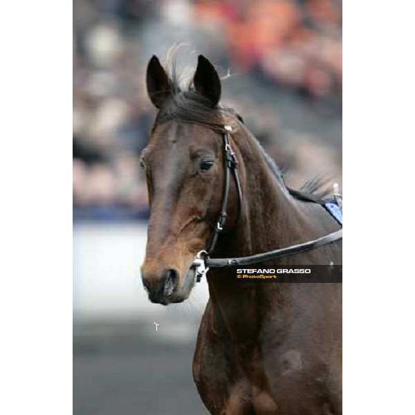 close up for Jag de Bellouet Paris, Vincennes, 28th january 2007 ph. Stefano Grasso