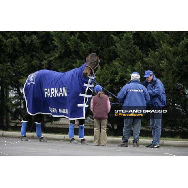 Jag de Bellouet with is grooms in the stables before the Gran Prix d\' Amerique Paris, Vincennes, 28th january 2007 ph. Stefano Grasso