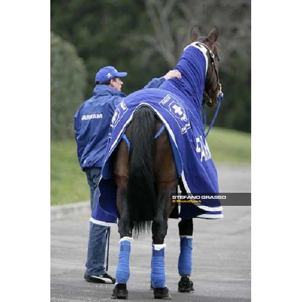 Jag de Bellouet with his groom in the stables before the Gran Prix d\' Amerique Paris, Vincennes, 28th january 2007 ph. Stefano Grasso