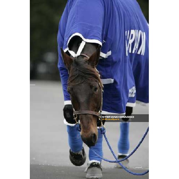 Jag de Bellouet walking in the stables before the Gran Prix d\' Amerique Paris, Vincennes, 28th january 2007 ph. Stefano Grasso