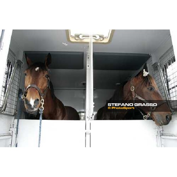 Kesaco Phedo (left) and Jardy arrive at Vincennes Paris, Vincennes, 28th january 2007 ph. Stefano Grasso