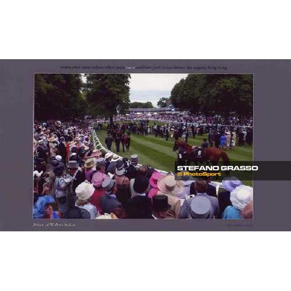 Ascot - Prince of Wales\'s Stakes 2003 ph. Stefano Grasso