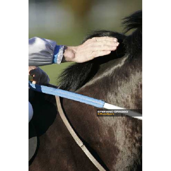 a caress to Amica winner of the Premio XXIX Steeple Chase delle Capannelle Rome, 4th february 2007 ph. Stefano Grasso