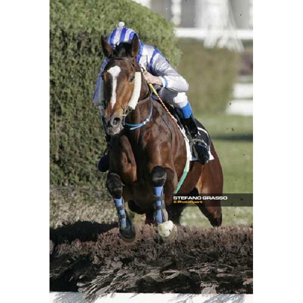 Dirck Fuhrmann on Blue Santillana jumps the last fence and goes to win the Premio Giulio Giannelli Viscardi Rome, 4th february 2007 ph. Stefano Grasso