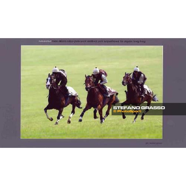 Newmarket 2003 ph. Stefano Grasso