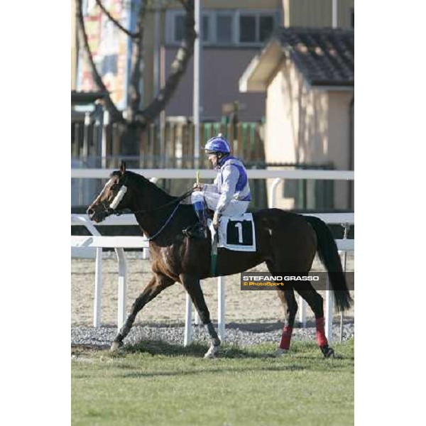 Dirk Fuhrmann on Blu Santillana return back to the winner circle after winning the Premio Giulio Giannelli Viscardi Rome, 4th february 2007 ph. Stefano Grasso