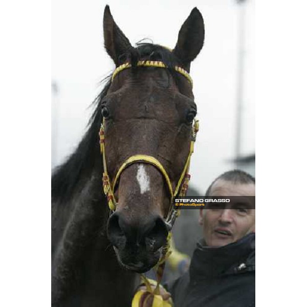close up for Or ou Argent and his trainer J.F.Lefebure winners of LVII Gran Corsa Siepi di Roma Rome, 18th february 2007 ph. Stefano Grasso