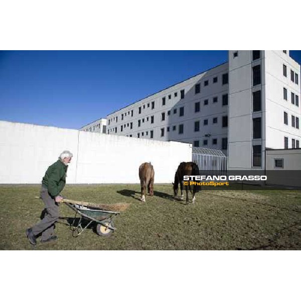 Pietro Bono insieme ai cavalli del progetto \'Cavalli in Carcere\', alla casa di reclusione di Bollate Bollate, 27 febbraio 2007 ph. Stefano Grasso