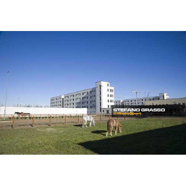 Le scuderie allestite per il progetto \'Cavalli in Carcere\' nella casa di reclusione di Bollate. Bollate, 27 febbraio 2007 ph. Stefano Grasso