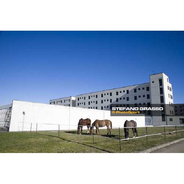 Le scuderie allestite per il progetto \'Cavalli in Carcere\' nella casa di reclusione di Bollate. Bollate, 27 febbraio 2007 ph. Stefano Grasso