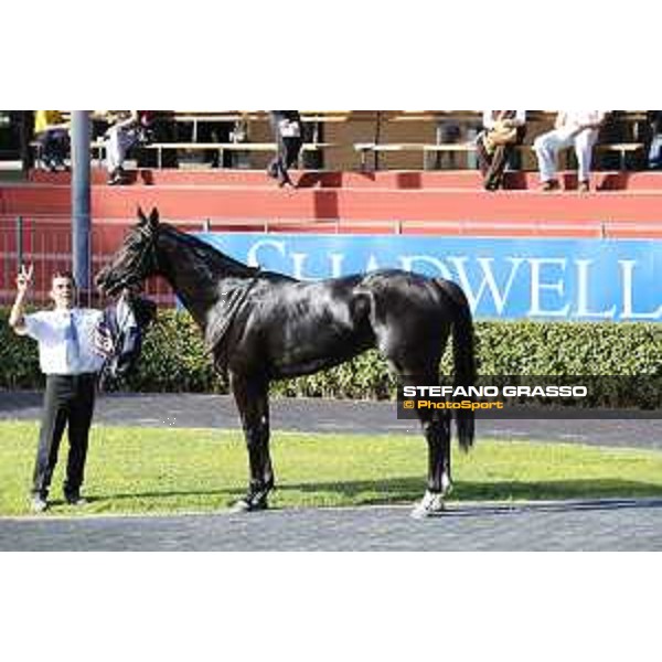 Fabio Branca on Time to Choose and Jonathan Bacci after winning the Premio Presidente della Repubblica GBI Racing Rome,Capannelle racecourse 14 may 2017 ph.Stefano Grasso