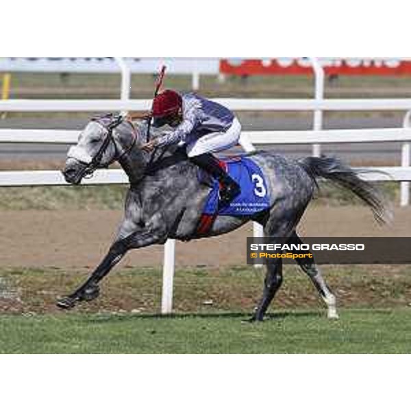 Faleh Bughenaim on Meblsh goes to win the Premio Dubai International Arabian Races Rome Capannelle racecourse, 14th may 2017 - ph.Stefano Grasso