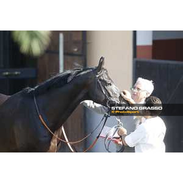 Jonathan Bacci and Time to Choose before winning the Premio Presidente della Repubblica GBI racing Rome Capannelle racecourse, 14th may 2017 - ph.Stefano Grasso