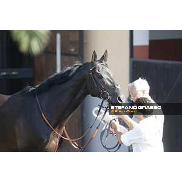 Jonathan Bacci and Time to Choose before winning the Premio Presidente della Repubblica GBI racing Rome Capannelle racecourse, 14th may 2017 - ph.Stefano Grasso