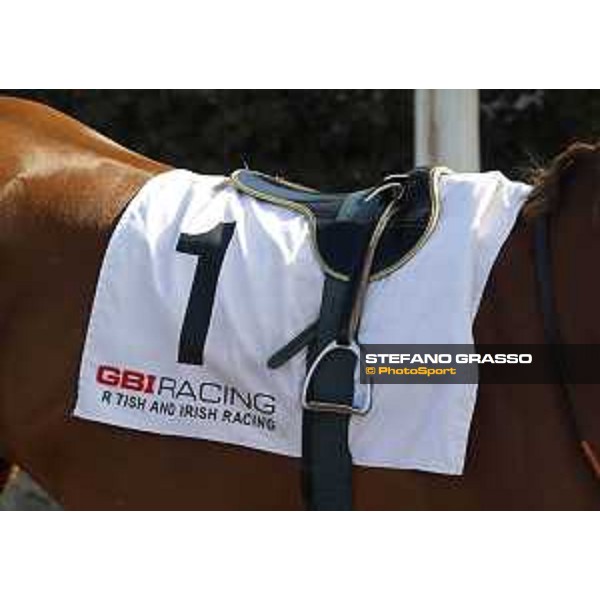 Basileus - Premio Presidente della Repubblica GBI racing Rome Capannelle racecourse, 14th may 2017 - ph.Stefano Grasso