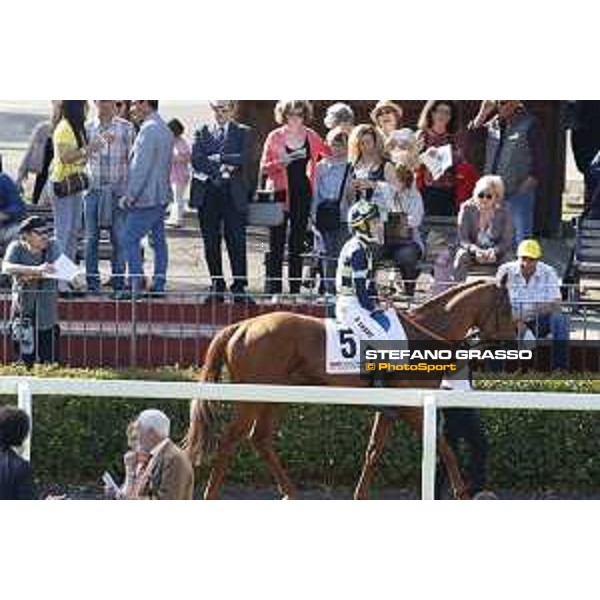 Antonio Fresu on Voice of Love - Premio Presidente della Repubblica GBI racing Rome Capannelle racecourse, 14th may 2017 - ph.Stefano Grasso